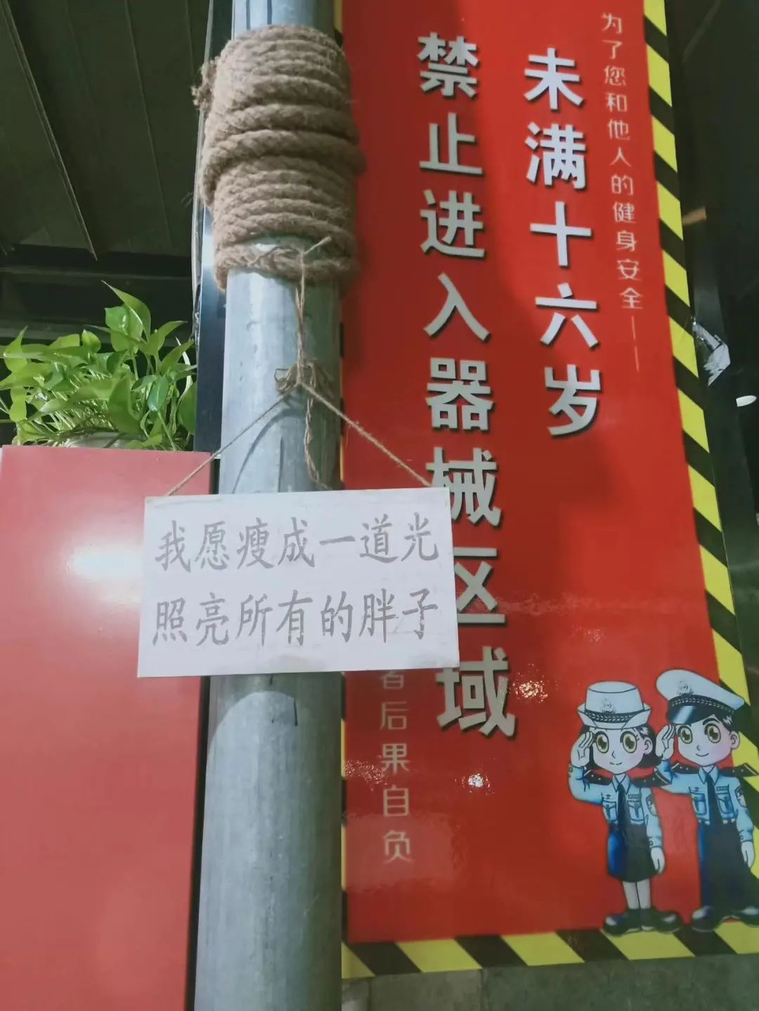 20份 健身房减肥文案！送刘耕宏女孩！(图20)