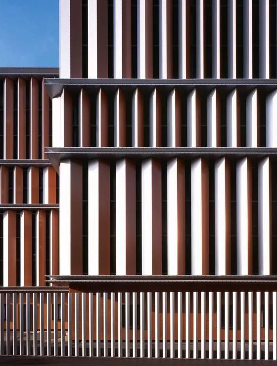 建筑设计丨竖 窗 设计合集(图19)