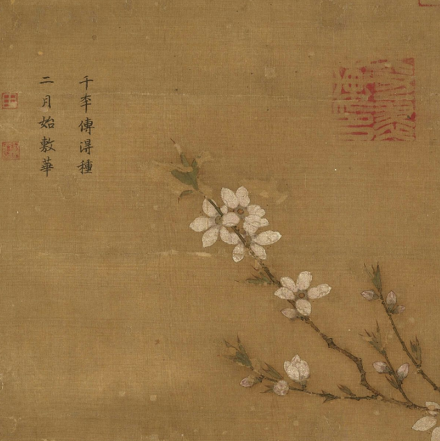 传闻中的十二【男花神】，你猜东坡主什么花？(图9)