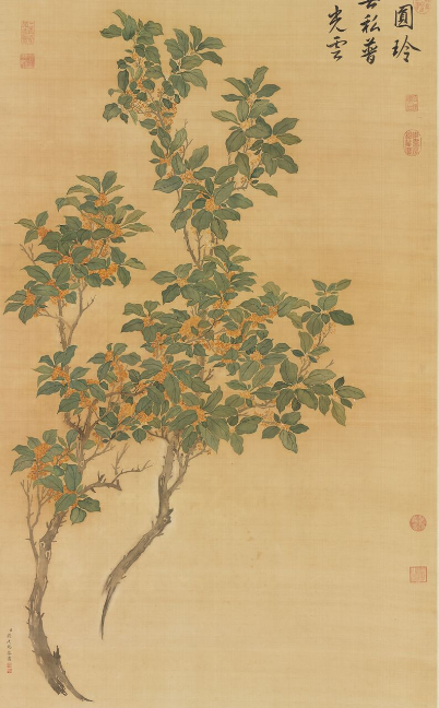 传闻中的十二【男花神】，你猜东坡主什么花？(图28)