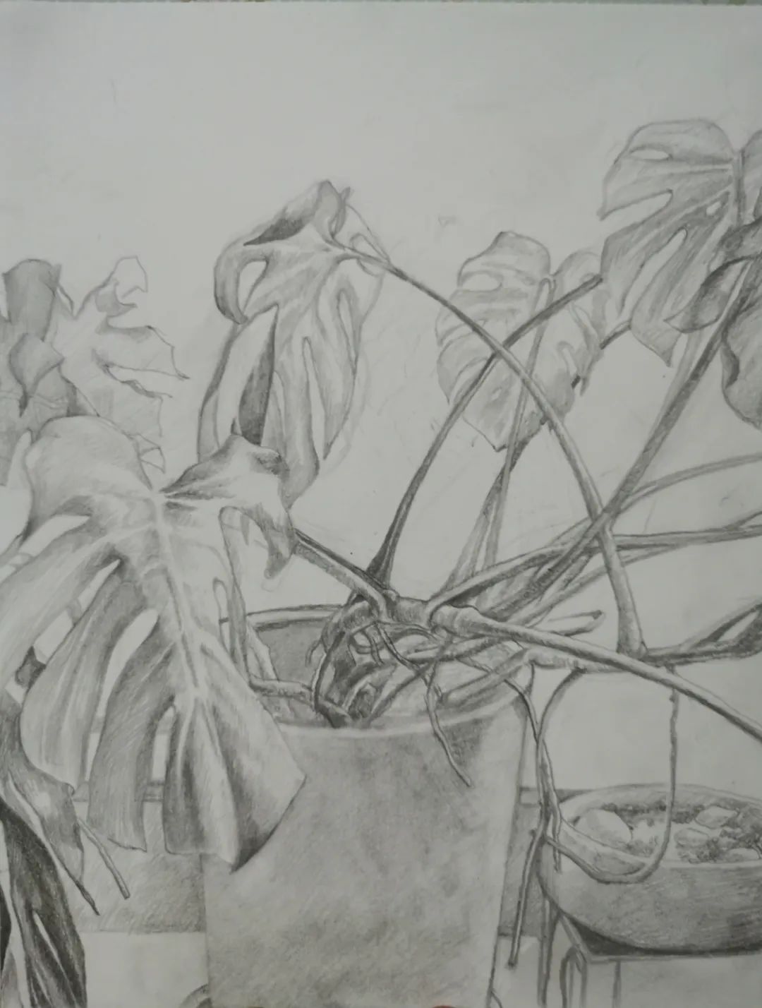 中央美院基础部素描作品欣赏，果然不凡！(图13)