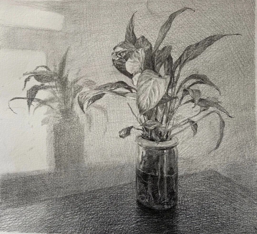 中央美院基础部素描作品欣赏，果然不凡！(图21)