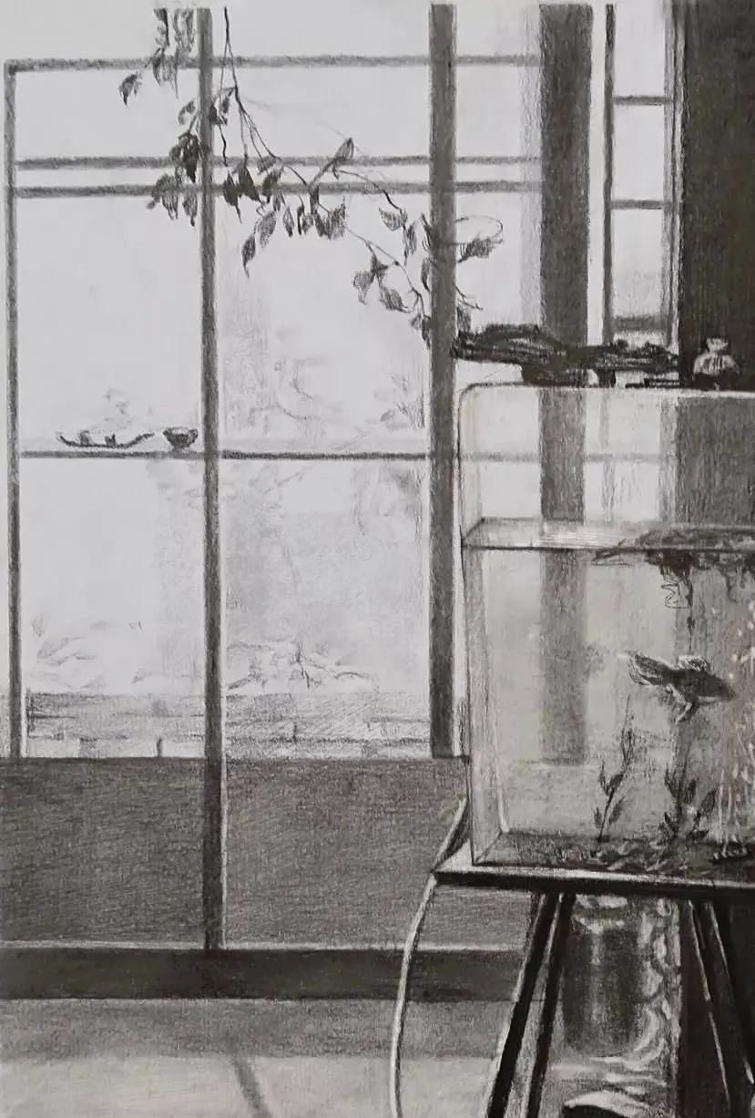 中央美院基础部素描作品欣赏，果然不凡！(图37)