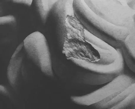 日本写实派画家，毛利太佑素描作品！可怕的细节！(图29)
