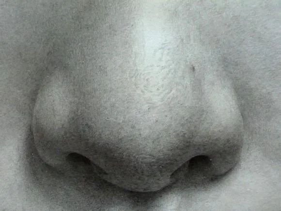 日本写实派画家，毛利太佑素描作品！可怕的细节！(图38)