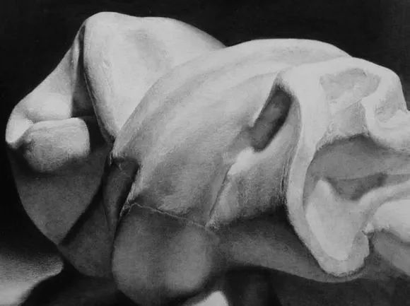 日本写实派画家，毛利太佑素描作品！可怕的细节！(图40)