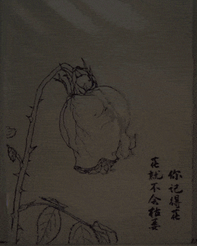 武昌首义学院艺术设计学院2022届视觉传达设计专业毕业设计展(图20)