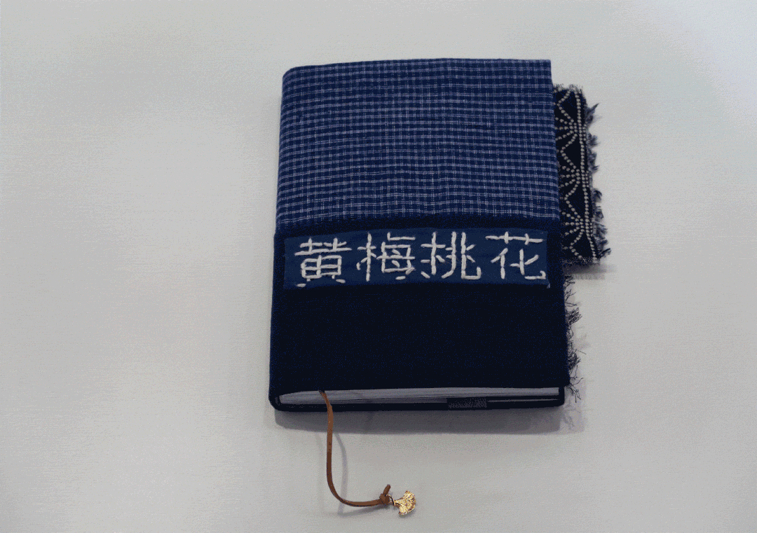 武昌首义学院艺术设计学院2022届视觉传达设计专业毕业设计展(图42)