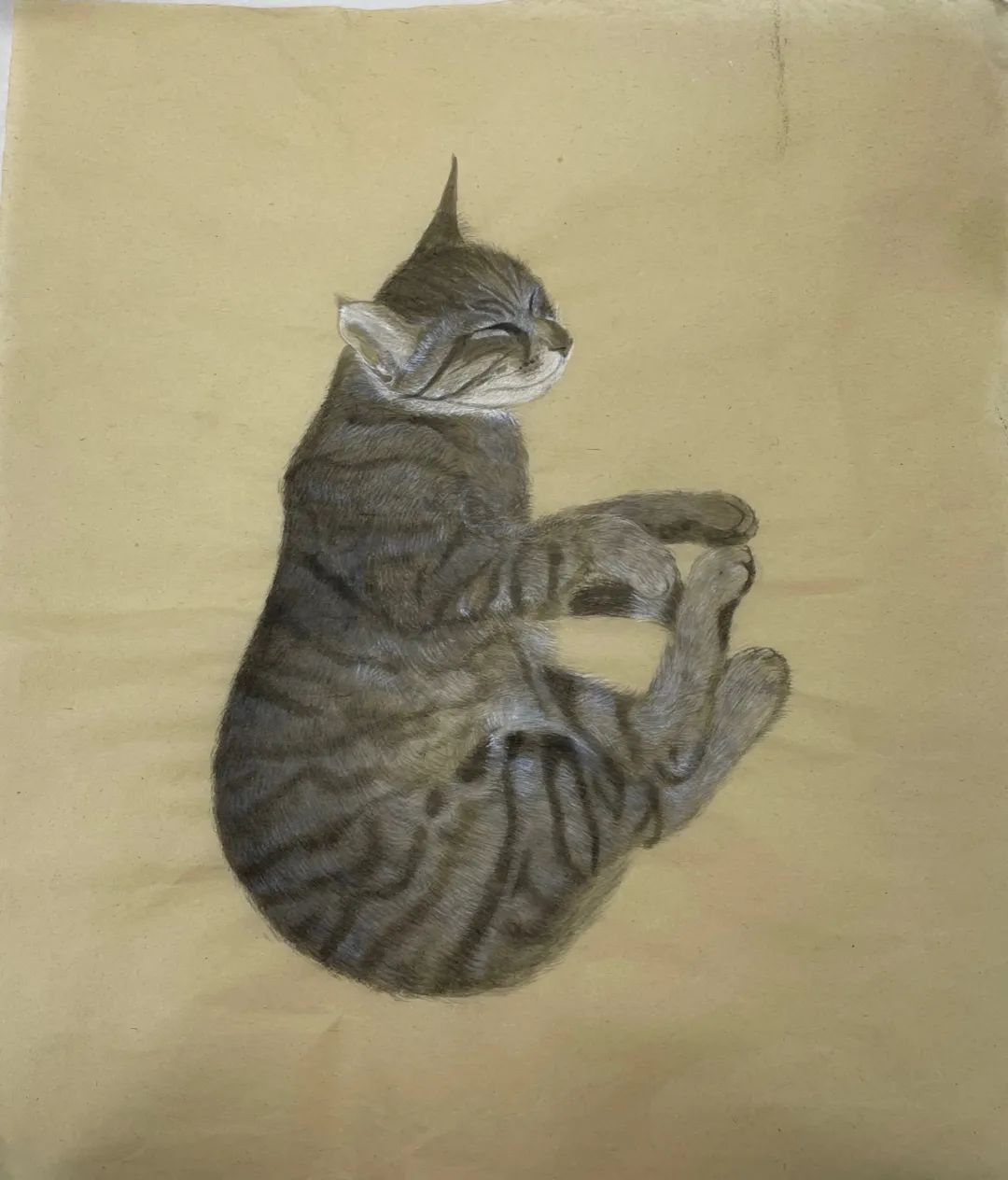 寻·觅 | 云南艺术学院附属艺术学校2019级五年制美术专业转段展（附作品）(图87)