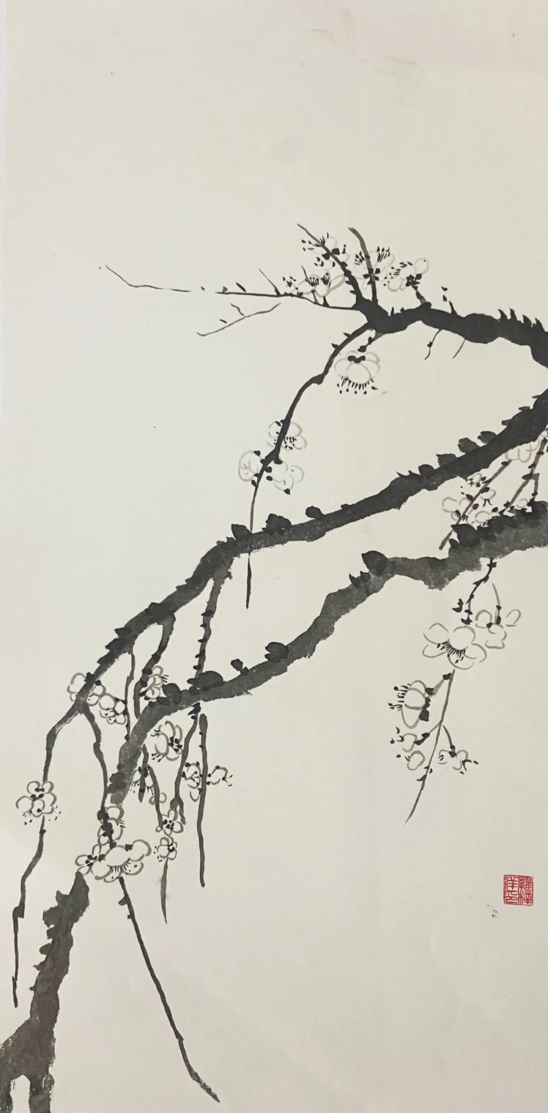 寻·觅 | 云南艺术学院附属艺术学校2019级五年制美术专业转段展（附作品）(图114)