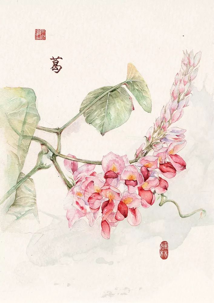 最美插画师李晓林丨成名于二十四节气画作，用水彩画出了最正宗的中国风味！(图49)