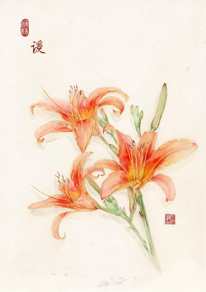 最美插画师李晓林丨成名于二十四节气画作，用水彩画出了最正宗的中国风味！(图53)