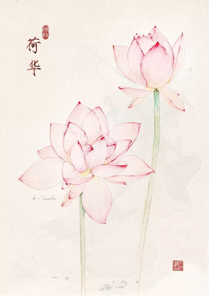 最美插画师李晓林丨成名于二十四节气画作，用水彩画出了最正宗的中国风味！(图55)