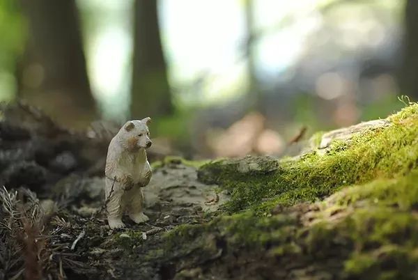 木雕 | 真正的手艺人，从不谈工匠精神只为初心不改！(图26)