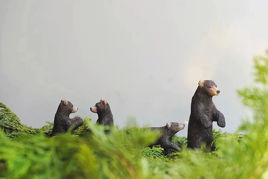 木雕 | 真正的手艺人，从不谈工匠精神只为初心不改！(图14)