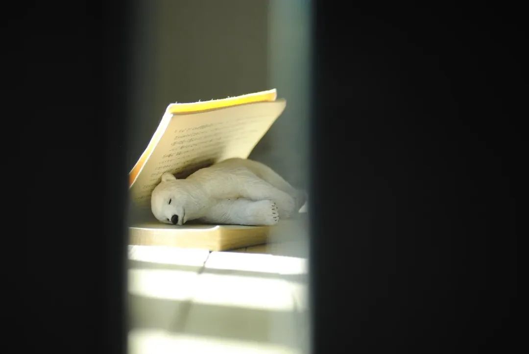 木雕 | 真正的手艺人，从不谈工匠精神只为初心不改！(图18)