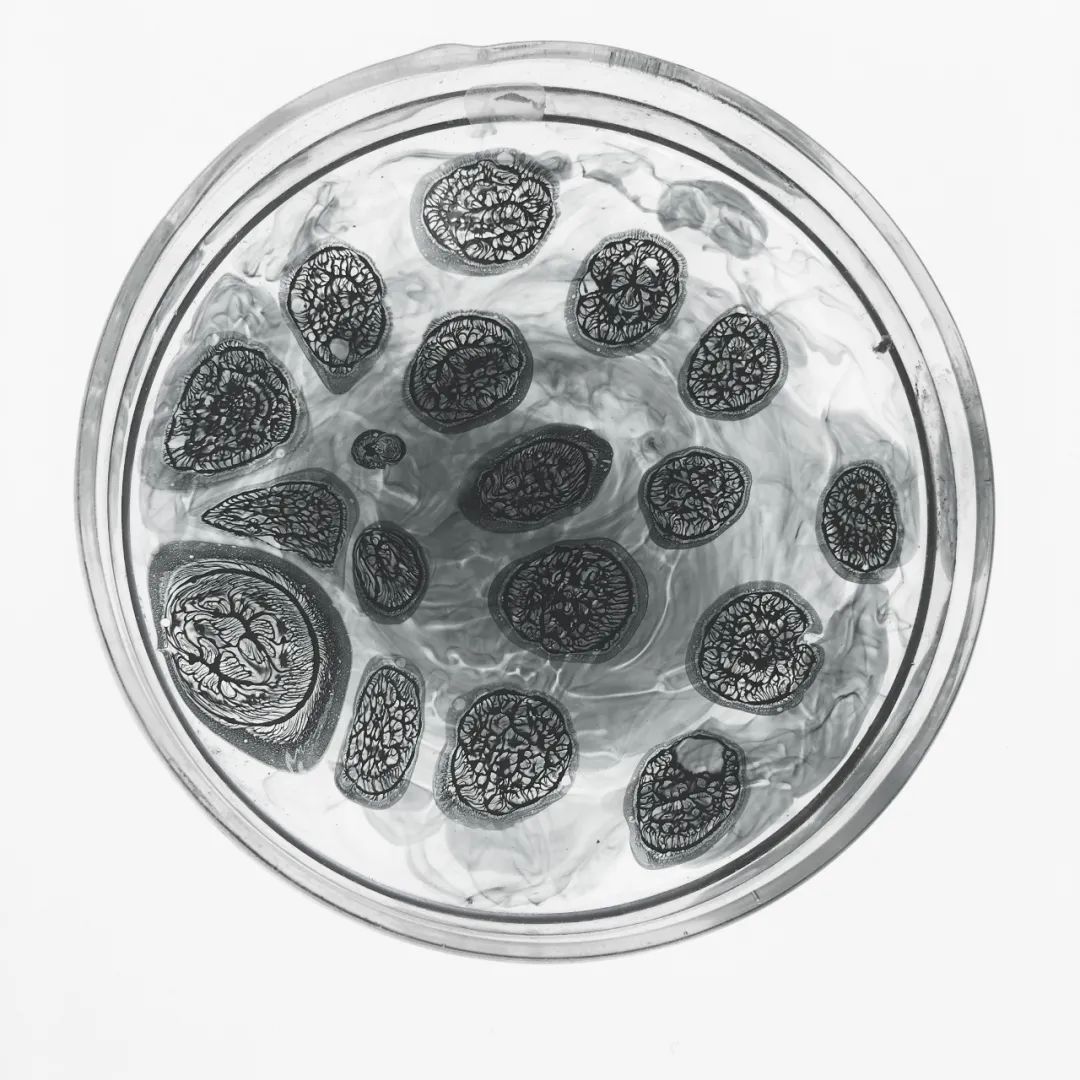 第三届当代国际水墨设计双年展｜优秀作品(图7)