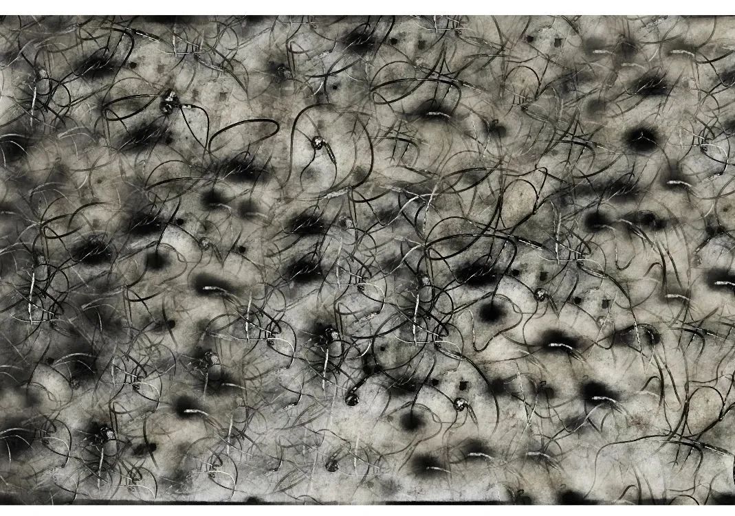 第三届当代国际水墨设计双年展｜优秀作品(图21)