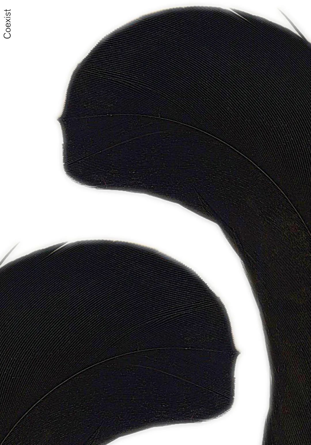 第三届当代国际水墨设计双年展｜优秀作品(图44)