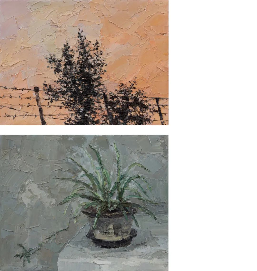 起落有时——赵文霞艺术展(图6)