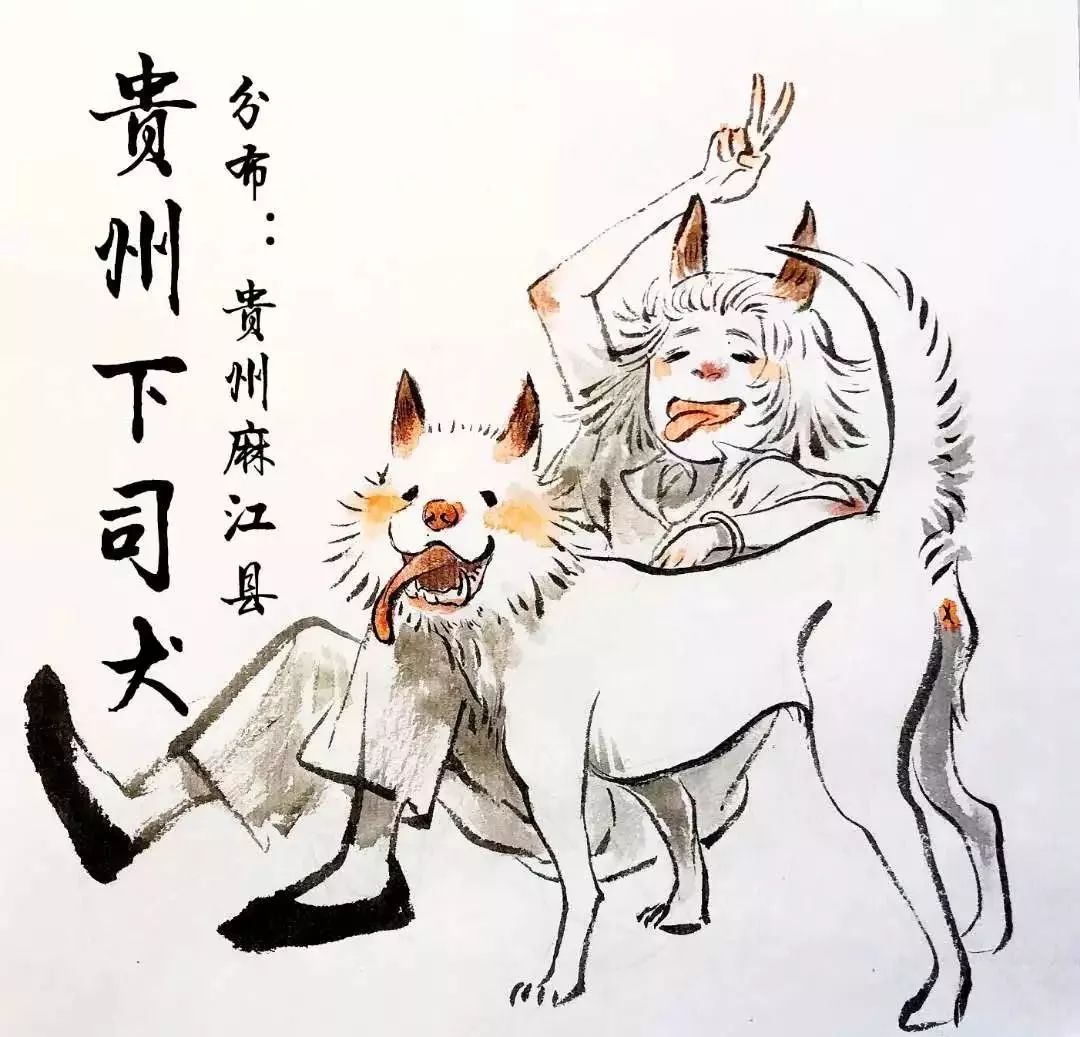 90后画家：三白蝉，让中国漫画刮起了一股的狂野之风！(图15)