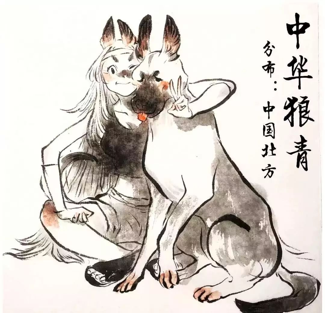 90后画家：三白蝉，让中国漫画刮起了一股的狂野之风！(图16)