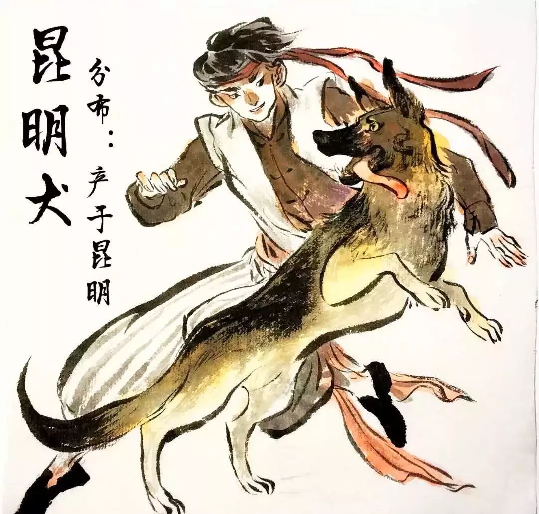 90后画家：三白蝉，让中国漫画刮起了一股的狂野之风！(图17)