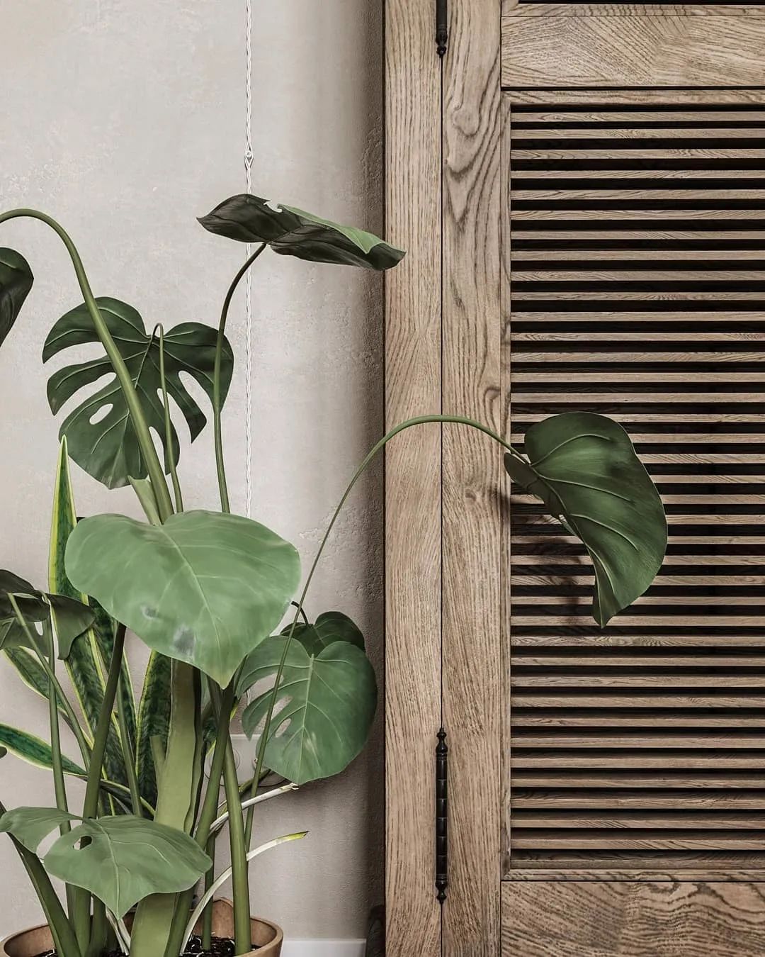 原木简约风，打造有趣空间(图2)