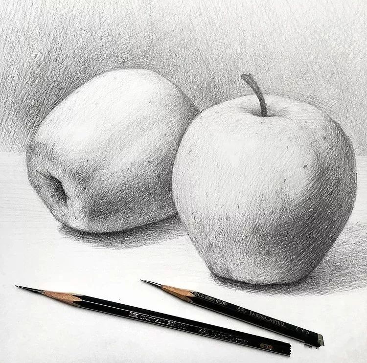 一组优秀的石膏静物素描作品(图9)
