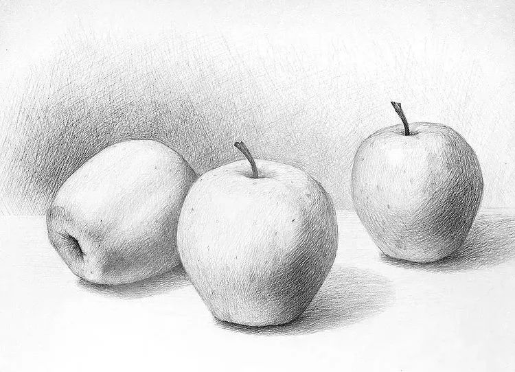 一组优秀的石膏静物素描作品(图8)