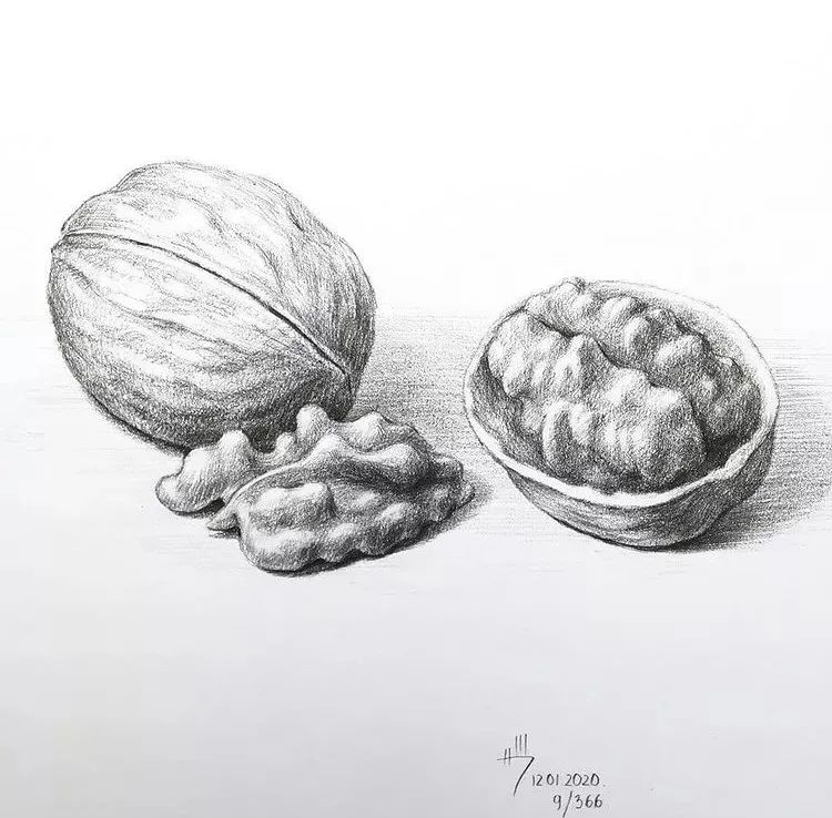 一组优秀的石膏静物素描作品(图18)