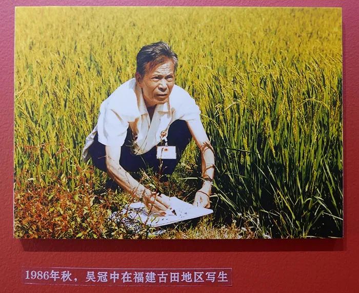 吴冠中：想念我就去看我的作品，我就活在其中(图6)