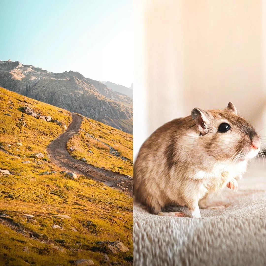 她用身体作画，10万粉丝捂脸看，这是我们能看的吗？她“好色”，但是我们好爱！(图53)