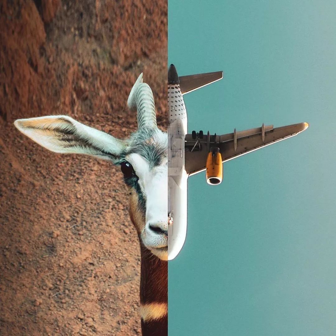 她用身体作画，10万粉丝捂脸看，这是我们能看的吗？她“好色”，但是我们好爱！(图54)