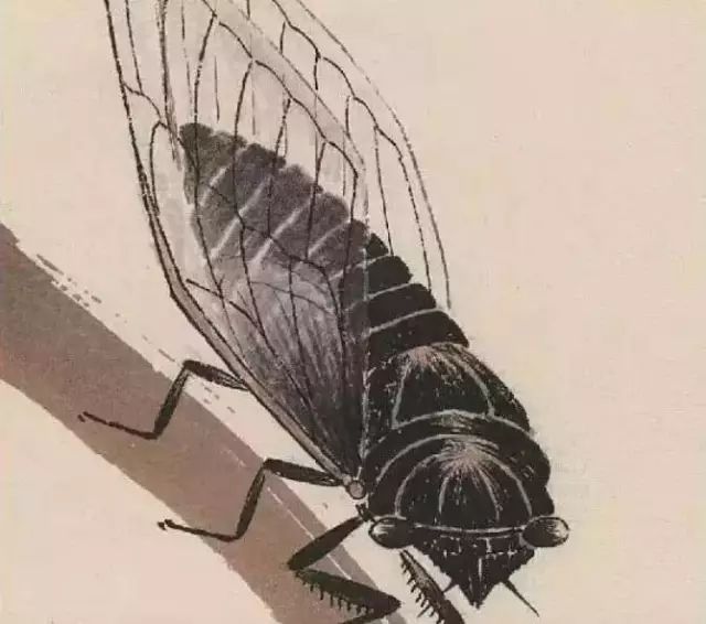 齐白石笔下的夏日生灵(图2)