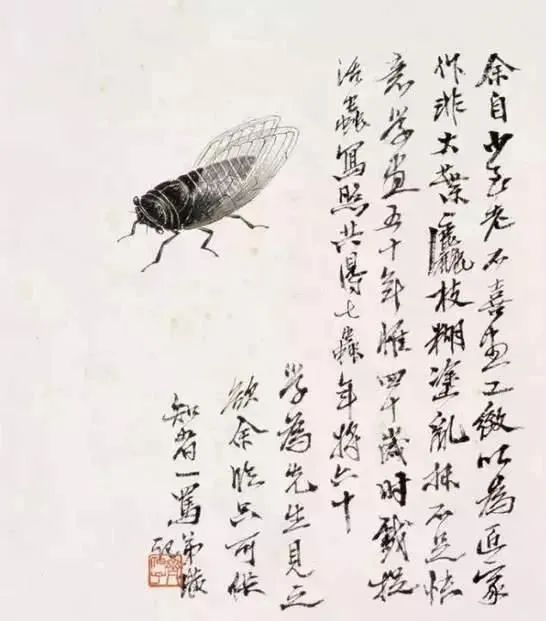齐白石笔下的夏日生灵(图11)