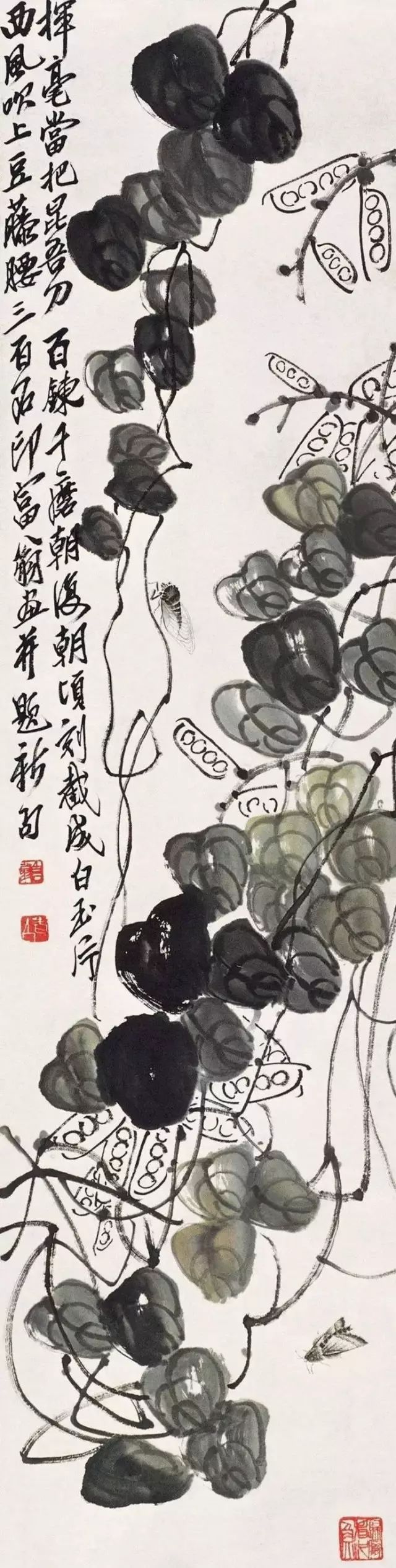 齐白石笔下的夏日生灵(图24)