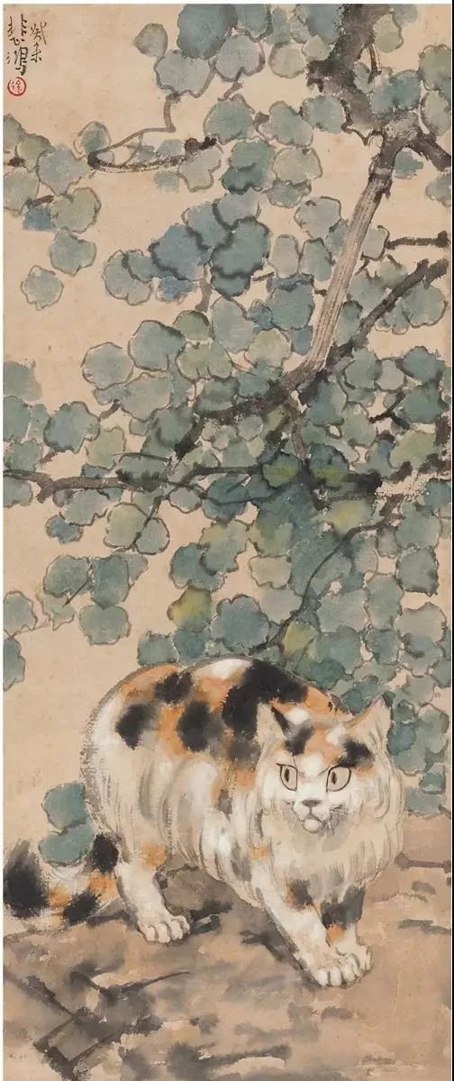 徐悲鸿先生画笔下的小花猫(图12) 徐悲鸿先生画笔下的小花猫(图12)