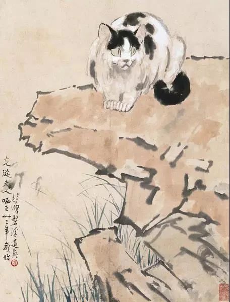 徐悲鸿先生画笔下的小花猫(图17) 徐悲鸿先生画笔下的小花猫(图17)