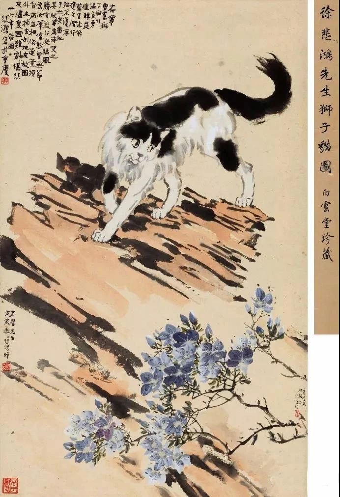 徐悲鸿先生画笔下的小花猫(图18) 徐悲鸿先生画笔下的小花猫(图18)