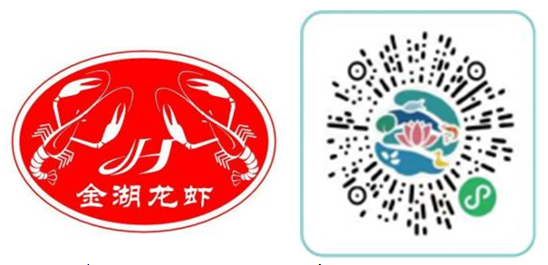 2022年第三届ISTA 运输包装设计大赛(图2)
