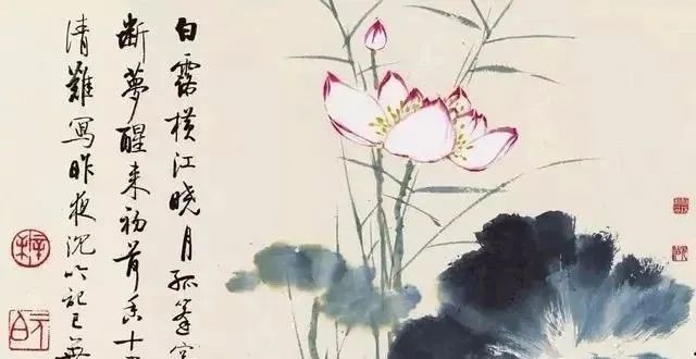 启功先生的荷花：清秀、淡雅、别具一格！(图2)