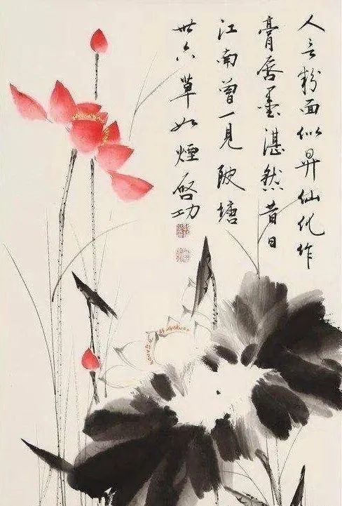 启功先生的荷花：清秀、淡雅、别具一格！(图3)