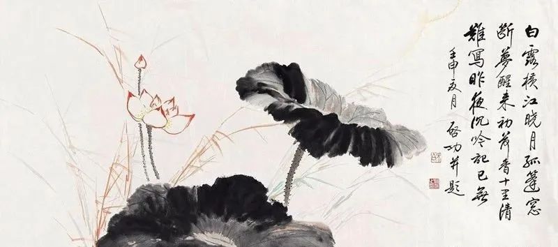 启功先生的荷花：清秀、淡雅、别具一格！(图8)