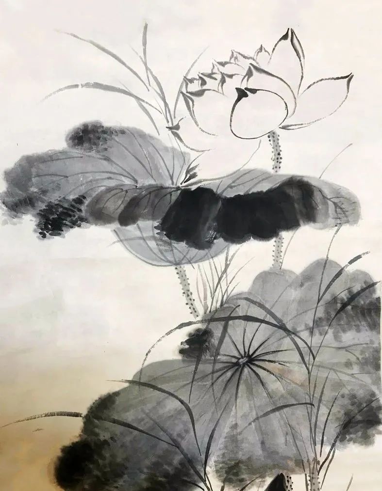 启功先生的荷花：清秀、淡雅、别具一格！(图12)