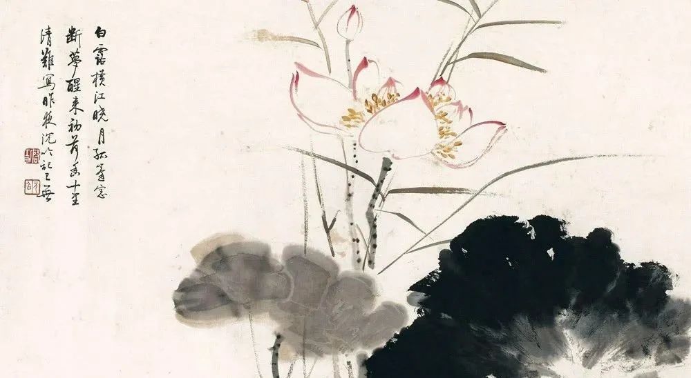 启功先生的荷花：清秀、淡雅、别具一格！(图15)