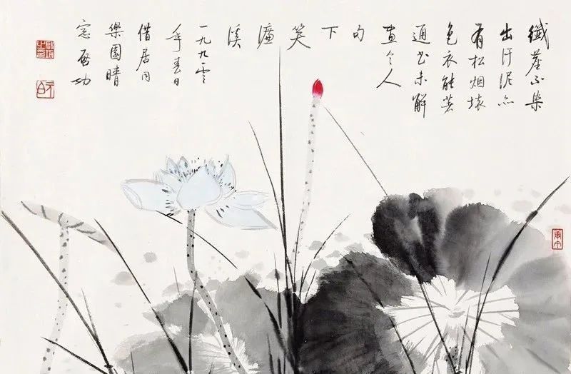 启功先生的荷花：清秀、淡雅、别具一格！(图16)