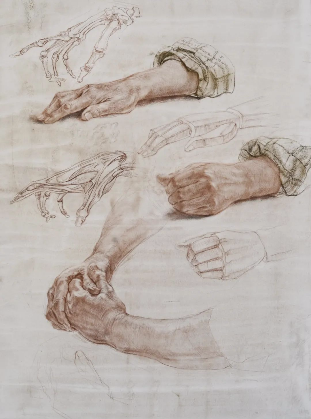 西美造型艺术部，2013级学生作品展示！(图4)