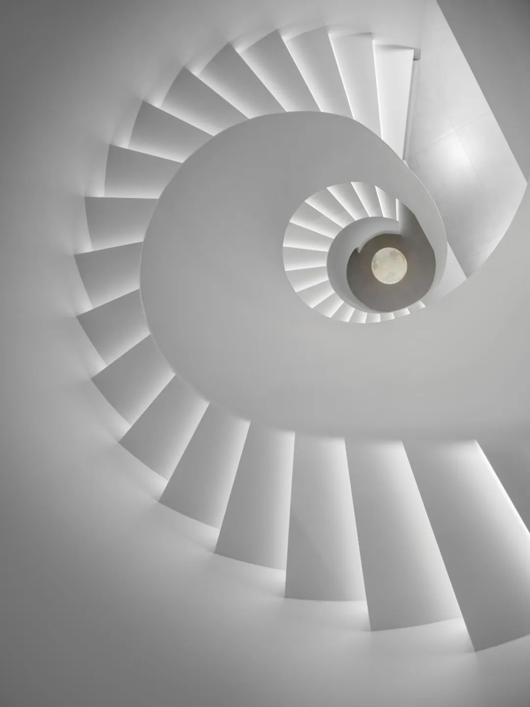 将地下庭院改造成半地下阳光房，舒适又惬意 | 仝设计(图6)