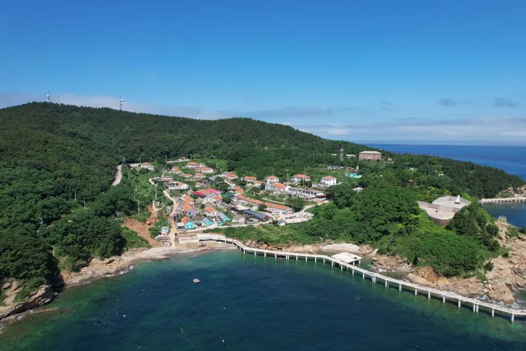 第二届辽宁省土木建筑学会高等院校 “乡村振兴”主题竞赛(图2)